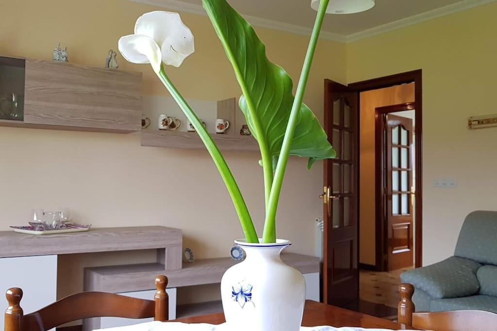 Apartamento A Pampillosa Fazouro Εξωτερικό φωτογραφία